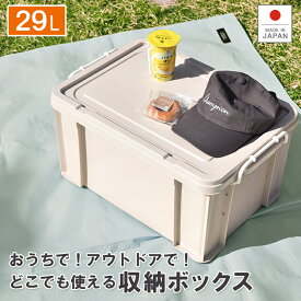 収納ボックス フタ プラスチック製 頑丈【ナチュールボックス】大容量 衣装ケース 衣類 押入 収納ケース カラーボックス おもちゃ 蓋付き かわいい 玩具箱 アウトドア キャンプ おしゃれ 収納箱 丈夫 クリアケース 積み重ね タグボックス タッグボックス 伸和 シンワ 05