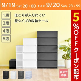 【9/19 20:00～9/20 23:59限定!5％OFFクーポン】収納ケース 引き出し プラスチック 日本製 おしゃれ【プラストベーシック】 幅17cm 幅34cm 幅51cm 奥行45cm ほこりの入りにくい壁タイプ 半透明タイプ クローゼット 押入れ 衣類収納 衣装ケース PPケース 新生活 クリアケース