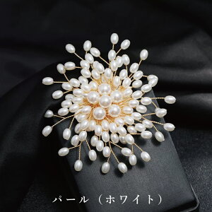 RT[W u[`  Ǝ w  p[ t[  }}X[c p[eBhX }}  w  p[eBhX Ӊ tH[} fB[X  p[