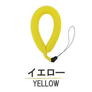 ���ɕ����X�g���b�v �����B�e �J�����t���[�g �t���[�g�X�g���b�v �t���[�e�B���O�X�g���b�v �_�C�r���O �}�����X�|�[�c �C �v�[�� �� �V�� �ނ� ���� ���͑� �g�уX�g���b�v �X�}�z �J����