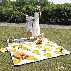 y݌ɌzW[V[g  傫 NbV 200×200cm  6~8l 唻 150×100cm 1~4l ܂肽 NjbNV[g  ^ h AEghA 􂦂  r[` xbh J[