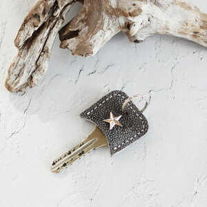 { U[ L[Jo[ Tv ۊv gJQ L[P[X PCVCY KC,s X^bY V[N {v    Jo[ ԍ io[B L[ `[ P[X Y fB[X  