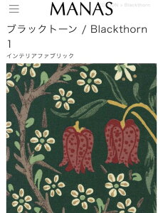 EBAX pnubNg[ v[VF[h 1 8/8ς蕪