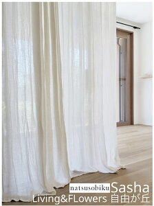 ic\rN lC̃l J[e ԂÂ炢TVSasha 2J[Y tbgI[_[X^C