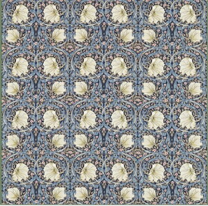 EBAX n 50cmPʁEspl494