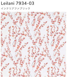 ROMO  7934-03 CMXCOuhn1Ж138cmc1[^[ȏ10Z`PʃJbg̔