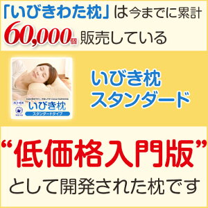 いびきわた枕いびき防止防止グッズいびき枕綿43×63cm洗える