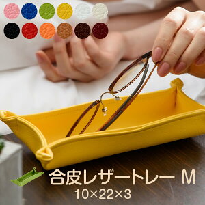 U[ g[ 10 × 22 × 3 cm MTCY  v vi gC L[ RC K  P[X   킢 zCg  L {yVWz