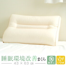 睡眠環境改善枕 防ダニ いびき枕 リビングインピース 43 × 63 cm いびき 枕 防止 まくら パイプ枕 高さ調整 洗える 首 肩 こり 頚椎 横寝 日本製 ギフト プレゼント【梅雨対策特集】