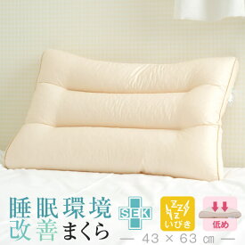 いびき 枕 睡眠環境改善枕低めタイプ 抗菌防臭 いびき対応 43×63 cm まくら マクラ カバー いびき対策 防止 横向き 横寝 高さ調整 高さ調節 低い 低め パイプ 洗える 日本製 送料無料