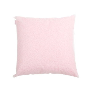 pCv  ̂Ȃ̃pCv 45 × 45 cm X^_[h 􂦂 ې    Q Q   { ܂ }N