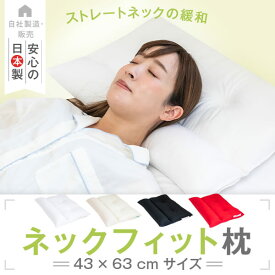 枕 ストレートネック ネックフィット枕 43 × 63 cm 洗える 洗濯 高さ調整 高さ調節 パイプ 母の日 ギフト 肩こり 首こり 首 痛み 頸椎 かため 安眠 快眠 まくら マクラ 日本製【母の日特集】