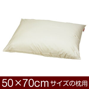 Jo[Iu50×70cm̖pvt@Xi[wT/C 208{injx11[֑[S̓{]yJo[zy Jo[zy܂ Jo[zy܂Jo[zyYzy