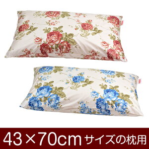 Jo[Iu43×70cm̖pvt@Xi[wԕx11[֑[{]yJo[zy Jo[zy܂ Jo[zy܂Jo[zyz ԂʂbNdグ