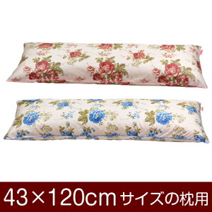 Jo[Iu43×120cm̖pvt@Xi[wԕxpCsObNdグ11[֑[S̓{]yJo[zy Jo[zy܂ Jo[zy܂Jo[z