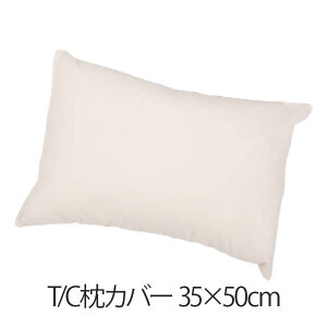 Jo[ 35 × 50 cm n T/C ܂  x[W  |GXe {