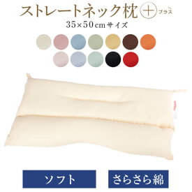 ストレートネック 枕 プラス 35 × 50 cm 肩こり 首こり 矯正 首枕 洗える 高さ調整 日本製 ソフトパイプ ハーモニー