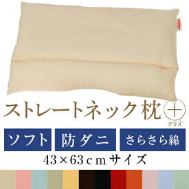 ストレートネック 枕 プラス 43 × 63 cm 肩こり 首こり 矯正 首枕 洗える 高さ調整 日本製 防ダニわた ソフトパイプ 綿ブロード