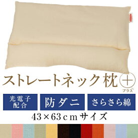 ストレートネック 枕 プラス 43 × 63 cm 肩こり 首こり 矯正 首枕 洗える 高さ調整 日本製 防ダニわた 光電子パイプ 綿ブロード