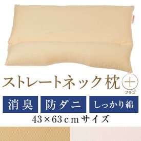 ストレートネック 枕 プラス 43 × 63 cm 肩こり 首こり 矯正 首枕 洗える 高さ調整 日本製 防ダニわた 炭パイプ 綿ツイル
