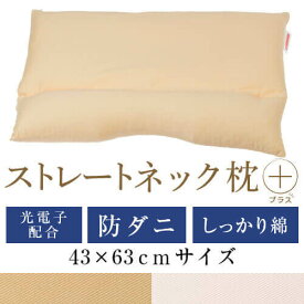 ストレートネック 枕 プラス 43 × 63 cm 肩こり 首こり 矯正 首枕 洗える 高さ調整 日本製 防ダニわた 光電子パイプ 綿ツイル