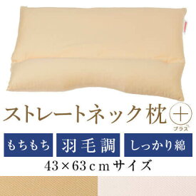 ストレートネック 枕 プラス 43 × 63 cm 肩こり 首こり 矯正 首枕 洗える 高さ調整 日本製 防ダニわた エラストマーパイプ 綿ツイル