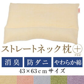 ストレートネック 枕 プラス 43 × 63 cm 肩こり 首こり 矯正 首枕 洗える 高さ調整 日本製 防ダニわた 炭パイプ 綿パイル