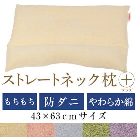 ストレートネック 枕 プラス 43 × 63 cm 肩こり 首こり 矯正 首枕 洗える 高さ調整 日本製 防ダニわた エラストマーパイプ 綿パイル