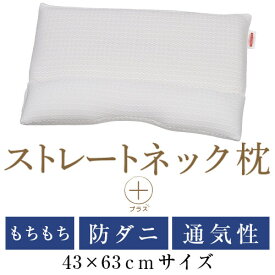 ストレートネック 枕 プラス 43 × 63 cm 肩こり 首こり 矯正 首枕 洗える 日本製 高さ調整 防ダニわた エラストマーパイプ 吸湿速乾ダクロンQDラッセル