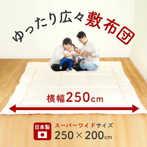 ~zc X[p[Ch TCY 250×200cm { 傫 傫ȕ~zc h_j R hL Ow Ŗ t@~[ Ch Ƒ