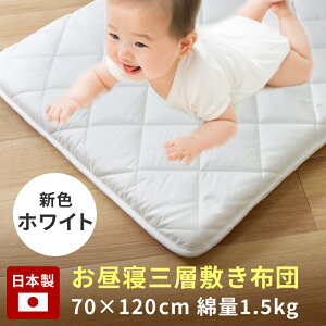 �������� �����Q�z�c �~���z�c ���{�� �ł킽���� �O�w�~�z�c �Ŗ� �~�z�c �ۈ牀 ���� �����Q�ӂƂ� �����Q�}�b�g �����Q�z�c�Z�b�g 3�܂� �P�i �x�r�[�}�b�g