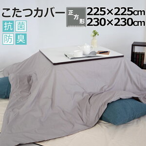 Jo[ 225×225@230×230 ` Rbg zCg sN u[ x[W uE O[ BHJ[ n RۖhL 8F {@