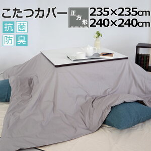 Jo[ 235×235@240×240 ` Rbg zCg sN u[ x[W uE O[ BHJ[ n RۖhL 8F {@