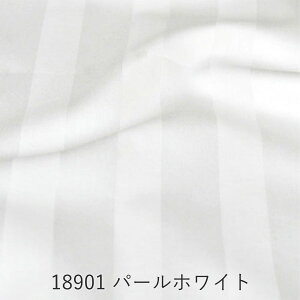 yN[|zzz ~zcJo[ Te XgCv Ray VO  LO Z~_u _u NC[ WjA Z~VO TCY t@Xi[ O 205cm 210cm 215cm 235cm 傫 