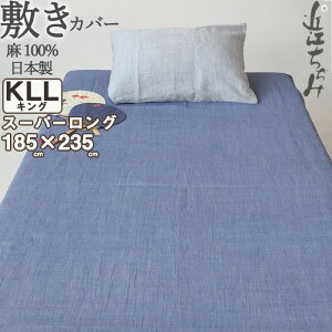 ~zcJo[ LO 185×235 X[p[O gp 100 ߍ] y  k n ~Jo[    sN lCr[ O[ LOX[p[O@X[p[O