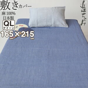 ~zcJo[ NC[ 165×215 100 ߍ] y  k n ~Jo[    sN lCr[ O[ NC[O NC[TCY NB[ y { z