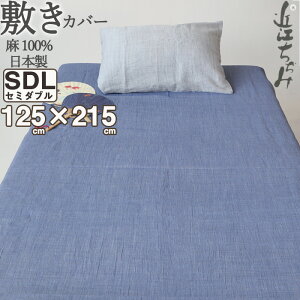 ~zcJo[ Z~_u 125×215 100 ߍ] y  k n ~Jo[    sN lCr[ O[ Z~_uO Z~_uTCY y { z