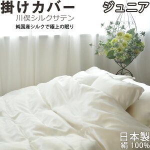 얓VNTe |zcJo[ WjA  p 135×185 YVN 100 % { |zcJo[ {@