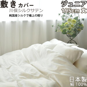 얓VNTe~zcJo[ WjA  p 95×195 @Y̌100 % { {@