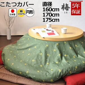 yN[|zzz ~`zcJo[ a165 a170 a175 100 % { a a_ ~ ԕ  a R^czcJo[ R^cJo[ {@