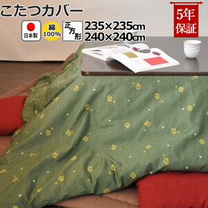 zcJo[ ` 235×235 , 240×240 100 % { a a_ ~ ԕ  a R^czcJo[ R^cJo[ {@