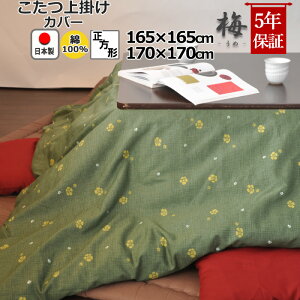 yN[|zzz |Jo[ ` 165×165 , 170×170 100 % { a a_ ~ ԕ  a Jo[ T }`Jo[ ȃXy[X {@