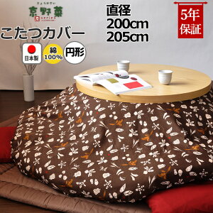 ~`zcJo[ a200 a205 100 % { a a_  s  a R^czcJo[ R^cJo[ {@ y Jo[ z