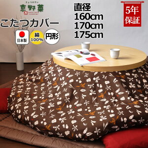 ~`zcJo[ a160 a170 a175 100 % { a a_  s  a R^czcJo[ R^cJo[ {@ y Jo[ z