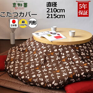 ~`zcJo[ a210 a215 100 % { a a_  s  a R^czcJo[ R^cJo[ {@ y Jo[ z