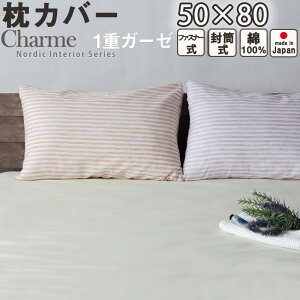 Jo[ sP[X 50×80 t@Xi[    k  XgCv K[[  100 { t H  dK[[