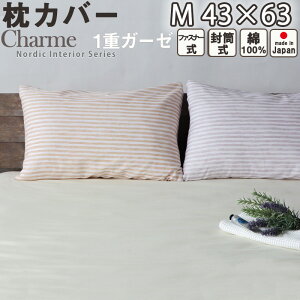 Jo[ sP[X M 43×63 t@Xi[    k  XgCv K[[  100 { t H  dK[[