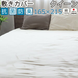 ~zcJo[ NC[ 165×215 ~Jo[ R hL 100 _uK[[ dK[[  n 􂦂 RۖhL { q s[`tbV