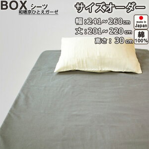 {bNXV[c TCYI[_[ 241`260cmA201`220cmA30cm 100 { aNЂƂK[[  {@