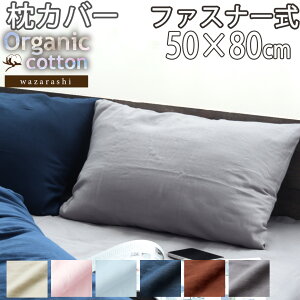 Jo[ 50×80 cm p t@Xi[ 40 I[KjbN Rbg I[KjbNRbg 100 aN d _uK[[  n 􂦂 {R[} {@